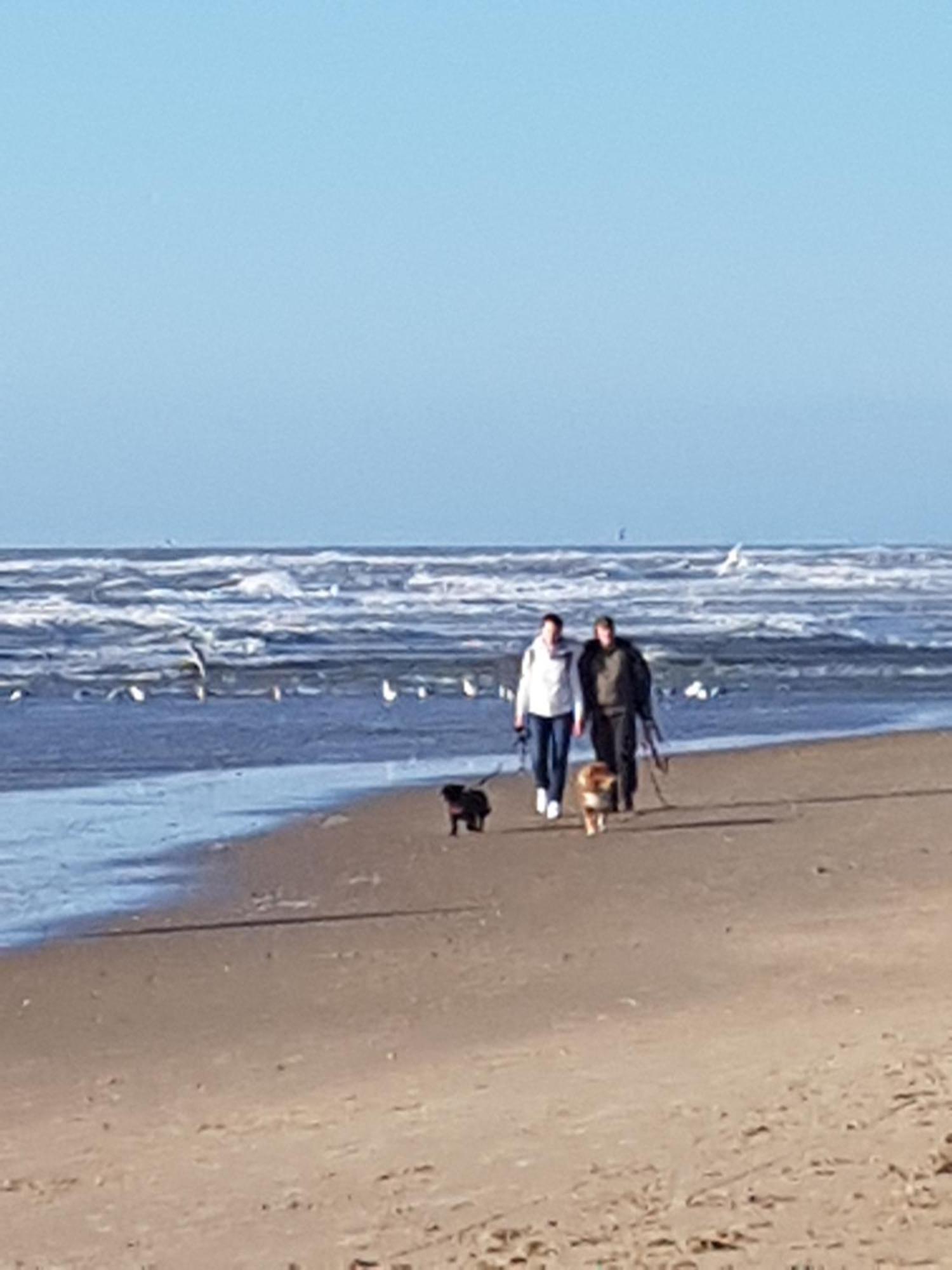 Romantisch Huisje Nabij Het Strand Met Uitzicht Op De Tulpenvelden Julianadorp Zewnętrze zdjęcie