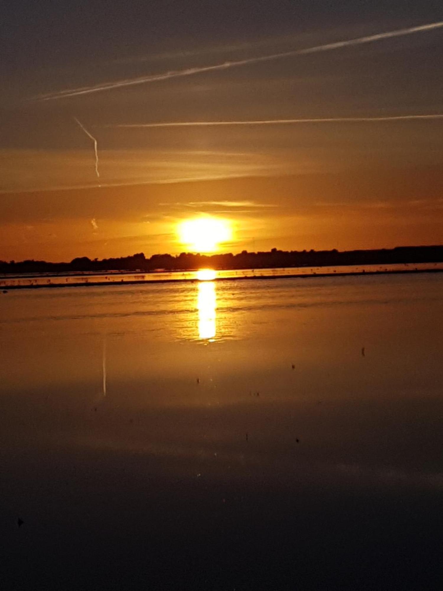 Romantisch Huisje Nabij Het Strand Met Uitzicht Op De Tulpenvelden Julianadorp Zewnętrze zdjęcie