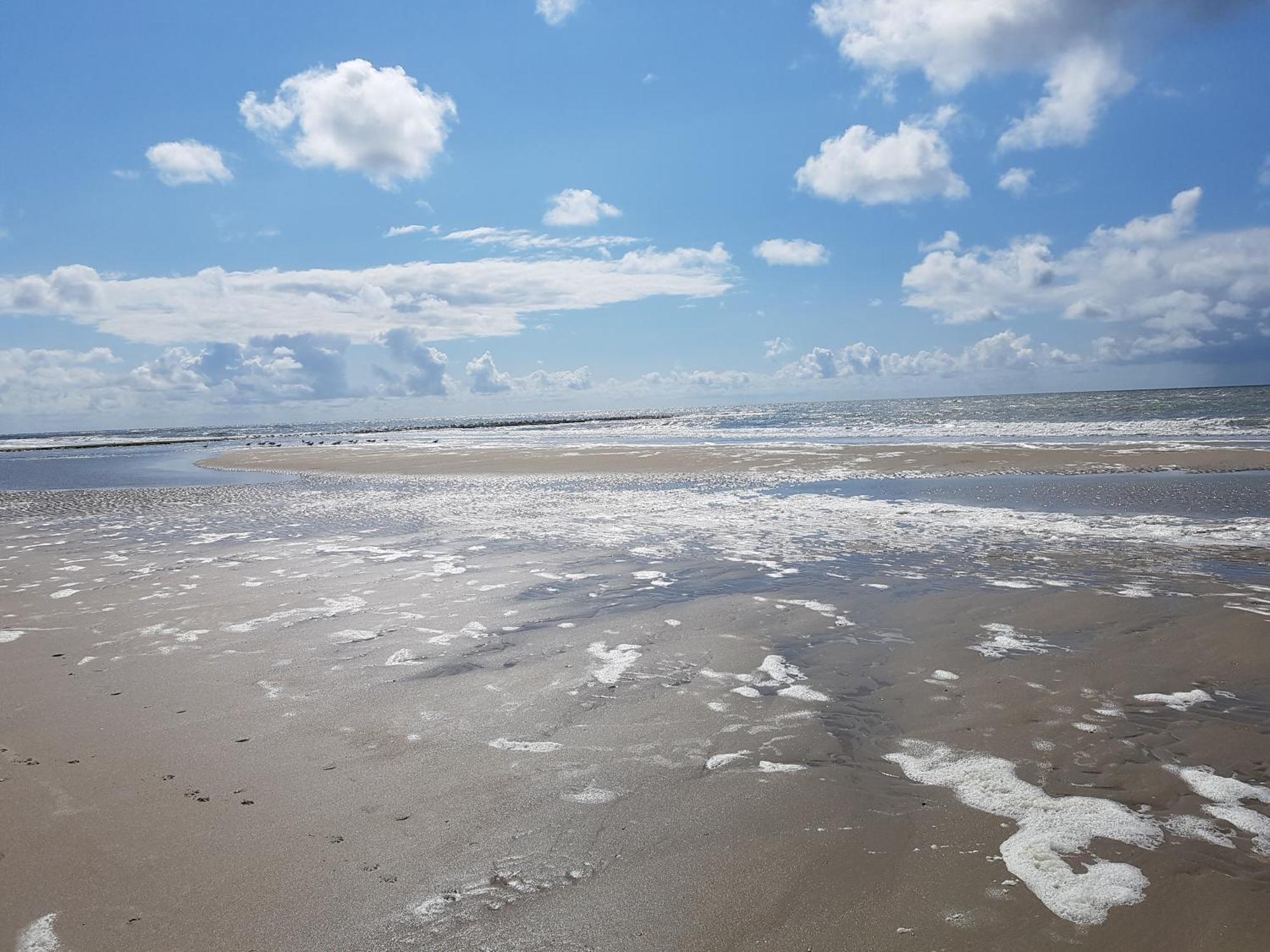 Romantisch Huisje Nabij Het Strand Met Uitzicht Op De Tulpenvelden Julianadorp Zewnętrze zdjęcie