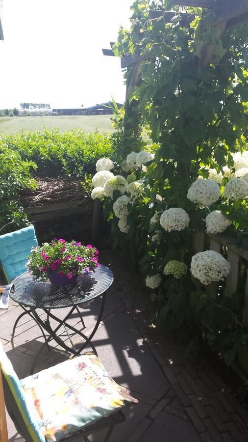 Romantisch Huisje Nabij Het Strand Met Uitzicht Op De Tulpenvelden Julianadorp Zewnętrze zdjęcie