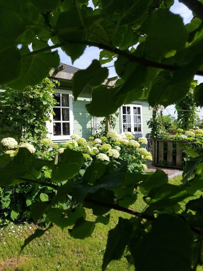 Romantisch Huisje Nabij Het Strand Met Uitzicht Op De Tulpenvelden Julianadorp Zewnętrze zdjęcie